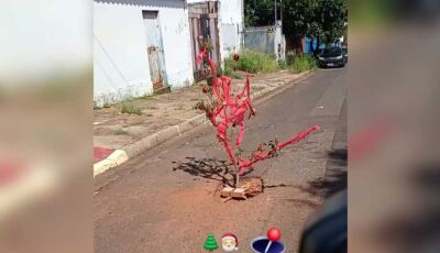 Buraco sinalizado com galho ganha decoração de Natal