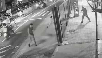 Cachorro é morto com dez tiros em frente a ponto de ônibus