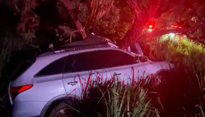 Douradense morre após atropelar javali e bater em árvore entre Casa Verde e Nova Alvorada