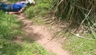 Corpo de mulher de 75 anos é encontrado degolado