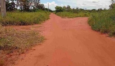 Bebê resgatada por maus-tratos engatinhava sozinha em estrada rural