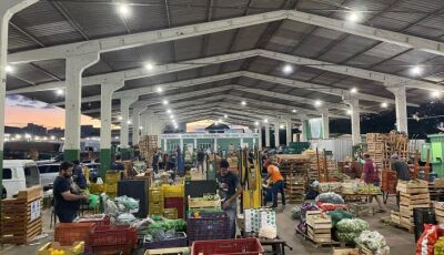 Do campo ao mercado: como o agricultor pode vender na Ceasa de Mato Grosso do Sul