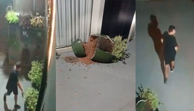 Proprietária de clínica procura mão leve que quebrou vaso de R$ 1 mil 