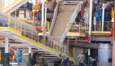Mato Grosso do Sul alia crescimento econômico e inclusão social para melhorar a vida das pessoas