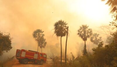 El Niño eleva risco de fogo no Pantanal, e MS assegura resposta estratégica com bases avançadas, aer