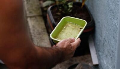 Entre a folia e o cuidado: SES alerta para prevenção contra a dengue e chikungunya no Carnaval