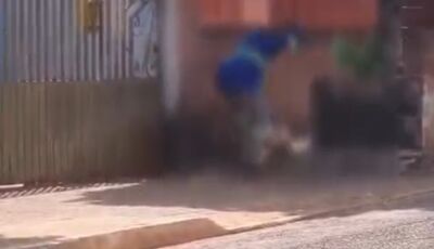 Homem é preso em Douradina após agredir cadela com vara em via pública