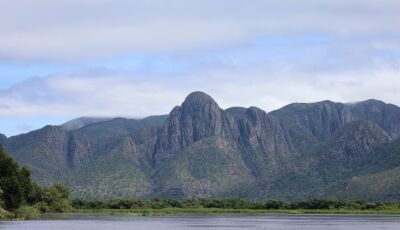 Para preservar o Pantanal, PSA Brigadas destinou mais de R$ 6,1 milhões para diferentes projetos 