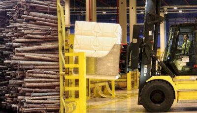 Celulose deve puxar PIB de 1,2% de MS com R$ 131 bi em investimentos até 2030 