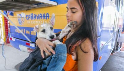 Caravana da Castração chega à Capital, consolida como o maior programa de controle de animais em MS