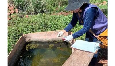MS chega à 4ª morte de indígenas da mesma reserva por chikungunya em 2026