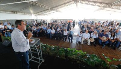 Expocanas: com 22 usinas em operação, MS se consolida como um dos principais produtores de energia