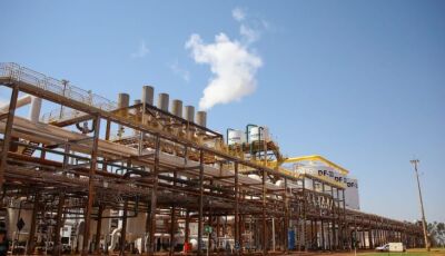 Mato Grosso do Sul projeta safra recorde de etanol, com 5 bilhões de litros produzidos em 2025/2026