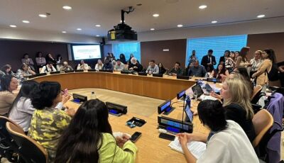 Mato Grosso do Sul leva programa Protege à ONU e debate proteção de mulheres em fórum internacional