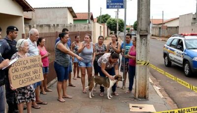 Homem amarra e castra cachorro com faca no meio da rua em MS