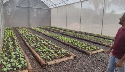 Nova estufa no Sítio Ecológico já produz hortaliças para consumo das escolas em Jateí