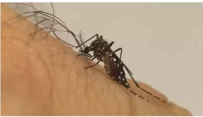 Adolescente de 13 anos morre com suspeita de dengue em cidade do MS