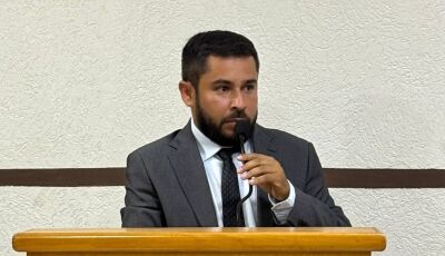 Confira o trabalho legislativo da Sessão Ordinária desta terça-feira (31) em Vicentina