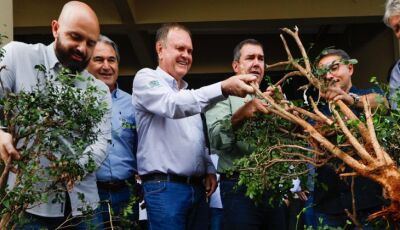 Fortalecer cadeia produtiva da laranja:Riedel participa de remoção simbólica de murtas na Expogrande