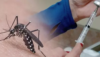 MS recebe 20 mil doses da vacina contra chikungunya; confira quem pode se imunizar