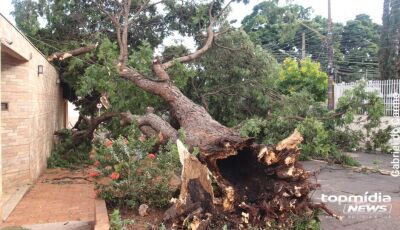 Chuvas deixaram rastros de destruição em toda Campo Grande (vídeo)