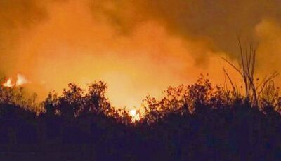 Incêndio de grandes proporções atinge ecoponto municipal na madrugada