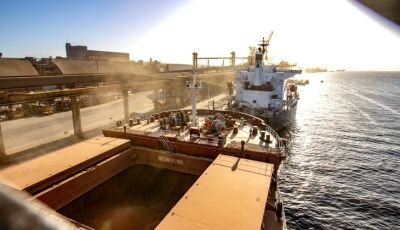 Exportações de MS crescem 6,26% e saldo da balança comercial chega a US$ 2,72 bilhões até abril