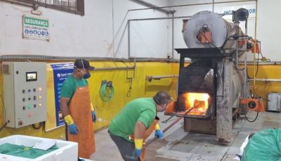 Operação inédita destrói 1 ton de medicamentos irregulares e reforça combate ao mercado clandestino