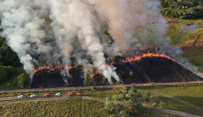 Imasul e Corpo de Bombeiros reforçam prevenção a incêndios com manejo integrado do fogo no Pantanal