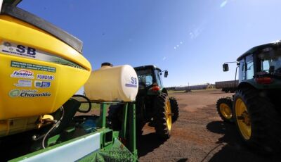 Investimentos em pesquisa ajudam a elevar produtividade e competitividade do agro de MS