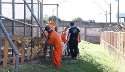Parceria entre Agepen e Senai garante capacitação profissional a internos de presidios do MS