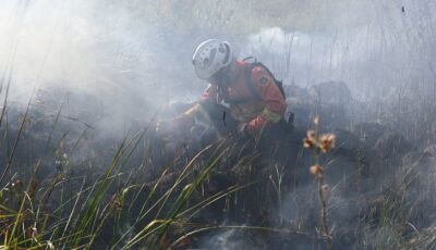 Decreto de emergência ambiental reforça preparação do Governo de MS para enfrentamento a incêndios 