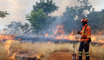 Bombeiros de MS se preparam para temporada de incêndios florestais com treinamentos e ações em campo