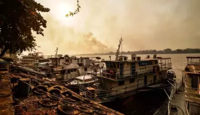 Crise no Pantanal: Corumbá é cidade que mais perdeu superfície de água em todo o país