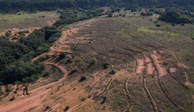 Parques de MS vão inserir o Estado no mercado bilionário de crédito de carbono