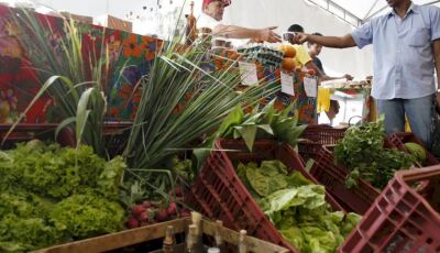 Decreto adia exigência de CNPJ para autônomos e produtores rurais