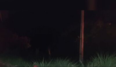 Homem atropela vaca durante chuva e morre na zona rural de cidade do MS