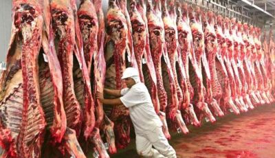 Setor da carne de MS busca novos mercados e aposta em biodiesel após tarifaço no sebo bovino