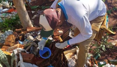 Boletim epidemiológico: MS registra 9.686 casos confirmados de chikungunya