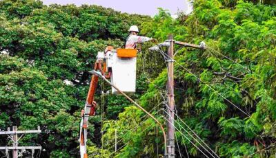 Inscrições para curso gratuito de eletricista de redes da Energisa seguem abertas