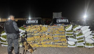 Choque encontra 1,2 tonelada de maconha em 'bunker' construído em residência