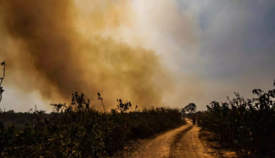 Mesmo após as cheias, seca extrema e El Niño ameaçam o futuro do Pantanal