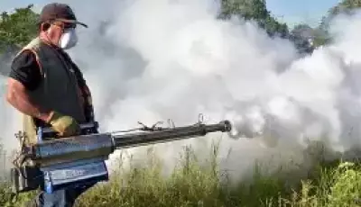 Guerra ao mosquito: Jateí tem mobilização permanente contra doenças