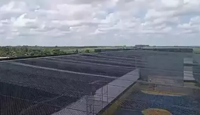 Drone é derrubado ao tentar levar cocaína e celular a presídio no MS