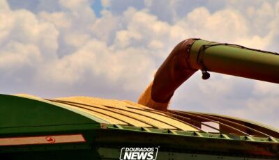 IBGE prevê safra de 347,4 milhões de toneladas para 2026