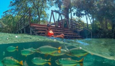 Bonito, MS: O Fenômeno Duradouro do Ecoturismo Mundial e a Arte de Preservar para Existir