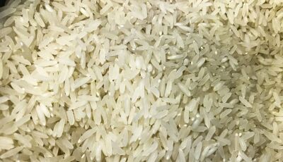 Terremoto: Brasil doará 10 toneladas de arroz à Colômbia