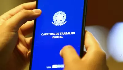 Desemprego cai para 5,3%, o menor para o trimestre terminado em julho
