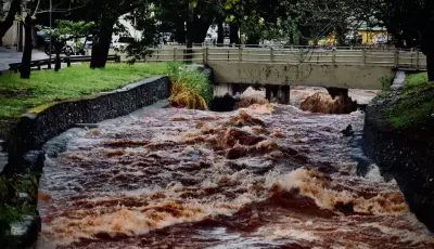 Entenda o poder de devastação do El Niño após temporal em Campo Grande
