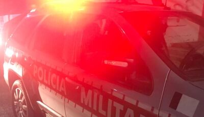 Acidente com veículo strada colidi com boi entre Fátima do Sul e Vicentina